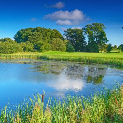 Galgorm Castle 8 approach pond_2185